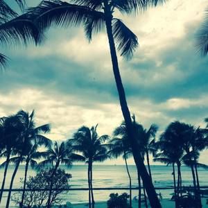 Meet your Posher, Ernie